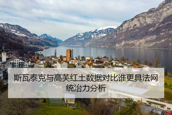 斯瓦泰克与高芙红土数据对比谁更具法网统治力分析