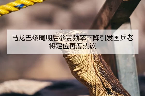 马龙巴黎周期后参赛频率下降引发国乒老将定位再度热议