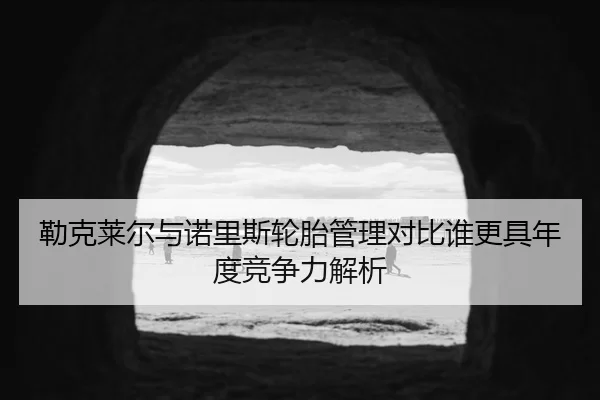 勒克莱尔与诺里斯轮胎管理对比谁更具年度竞争力解析
