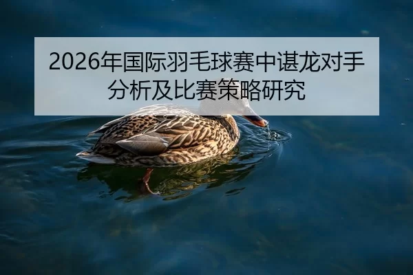 2026年国际羽毛球赛中谌龙对手分析及比赛策略研究