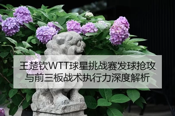 wang-chu-qin-qiu-xing-tiao-zhan-sai-fa-qiu-qiang-gong-yu-qian-san-ban-zhan-shu-zhi-xing-li-shen-du-jie-xi-2-135.jpg